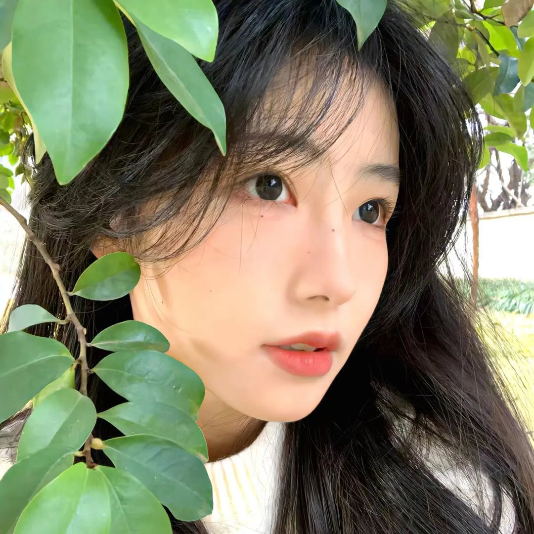 血连环